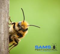 Sams Bee and Wasp Removal Canberra image 2